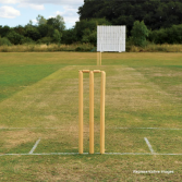 Cricket Net